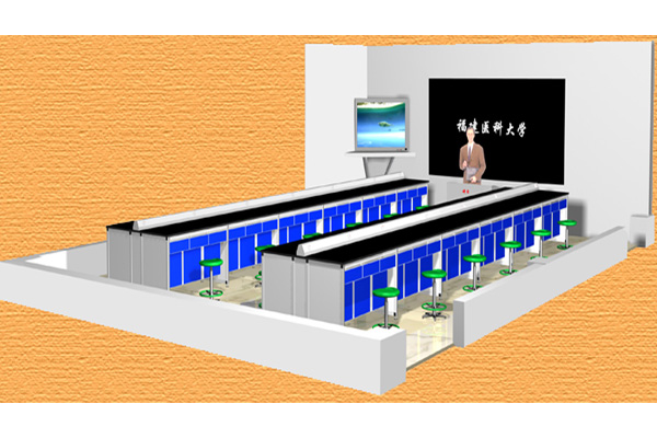 �����Ч���D