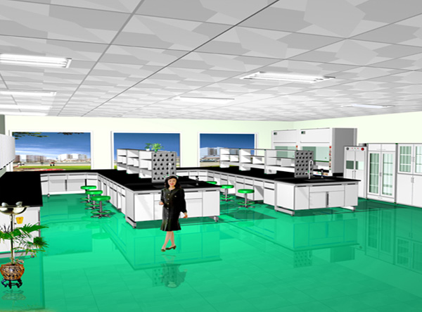 �����Ч���D